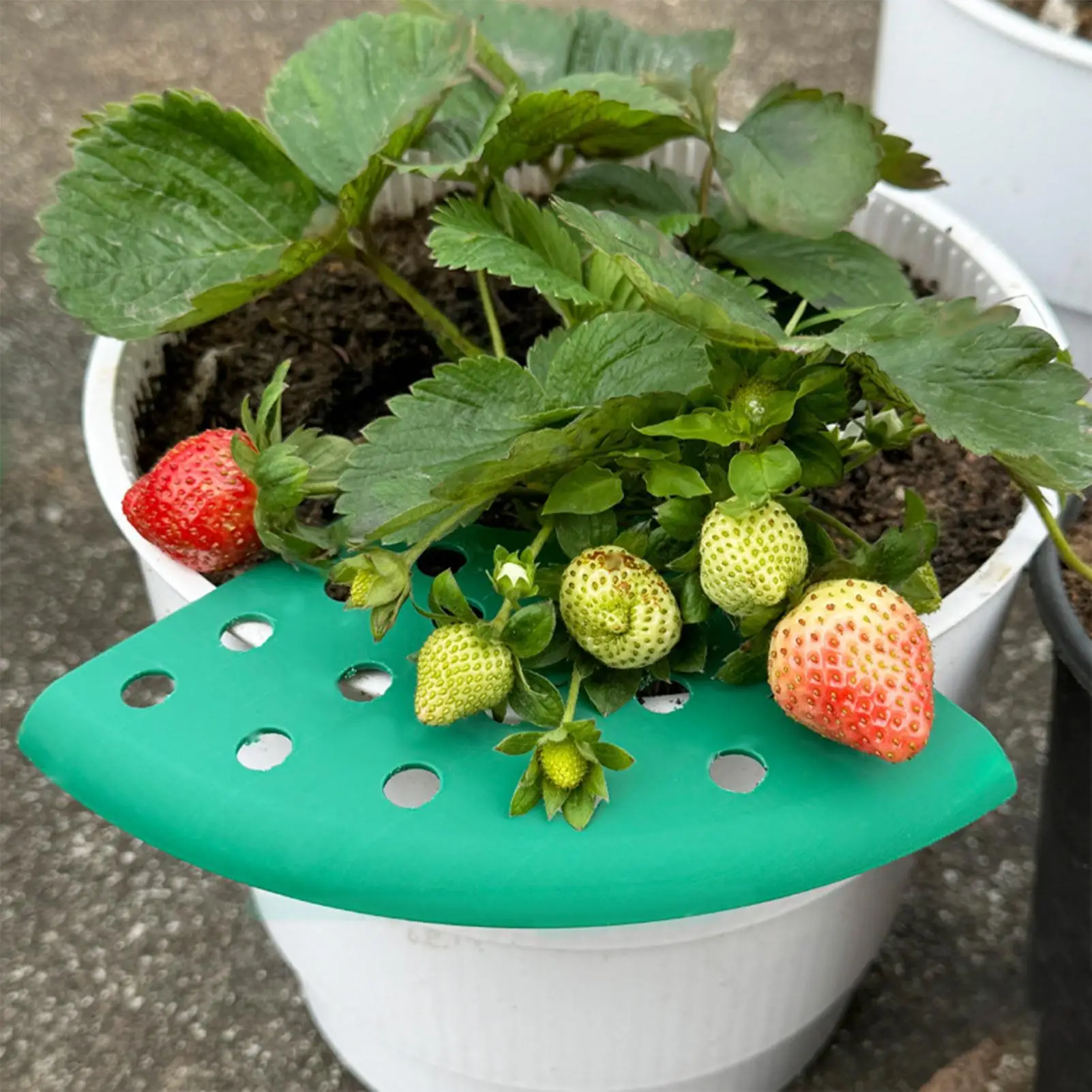 

Strawberry Planting Stand Tray 4 Piece Rack Support Growing Protector Cage Stand Anti-corrosion And Rotten Fruit Support