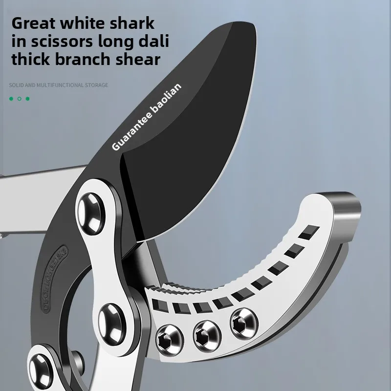 فروع تشذيب شجرة الفاكهة، فروع تشذيب الحديقة، فروع تشذيب قوية كبيرة، مقصات فرعية سميكة قوية