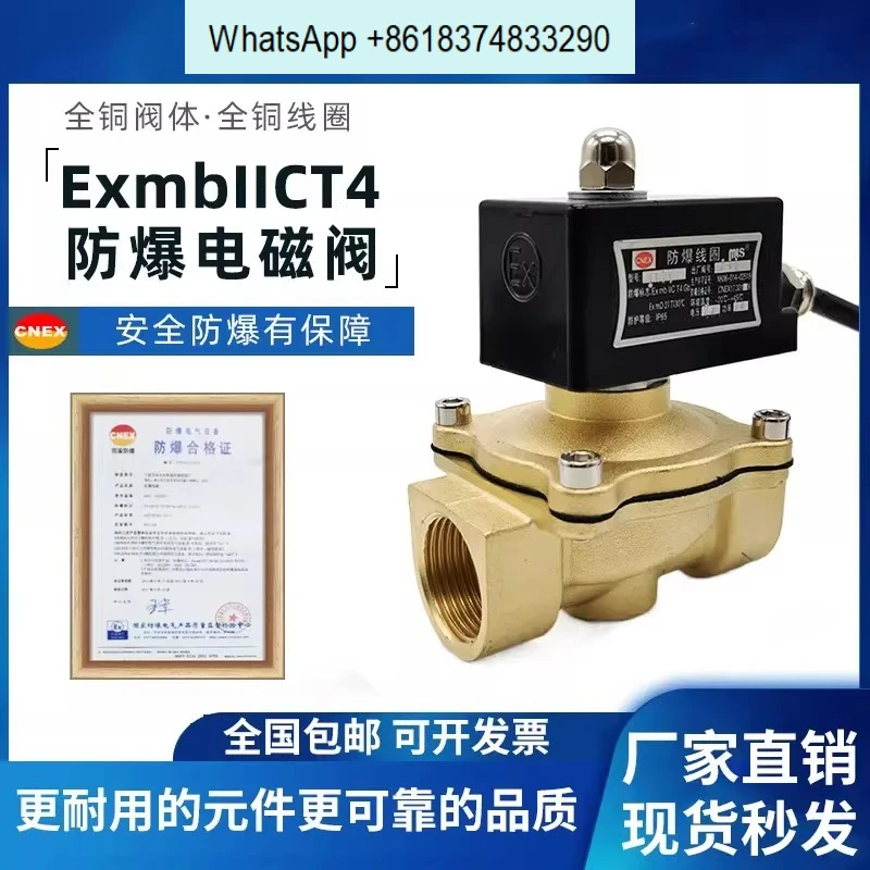 DN15 anti-heat solenoid valve 4 minutes 6 minutes 1 inch DN25 normally closed boiling water valve CT 4 gas copper valve 220V