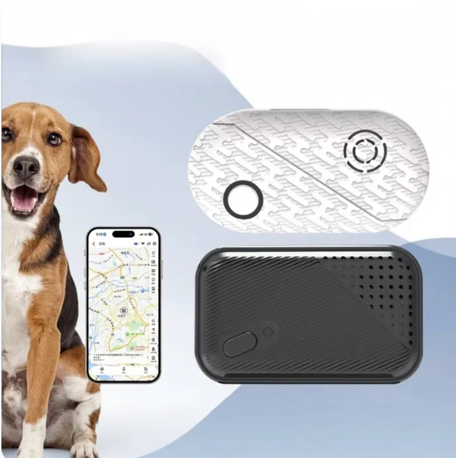 Compact Global Coverage Pet GPS Locator with Real-time App Tracking and High Accuracy for International Dog Security Tracker