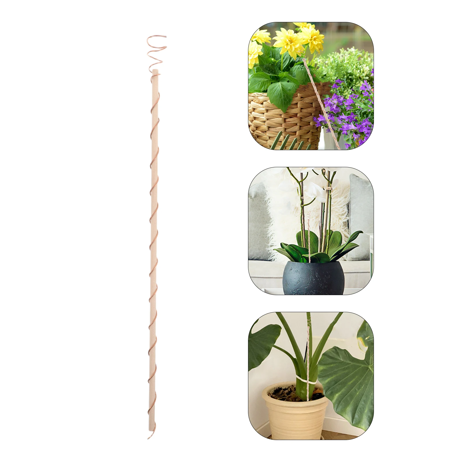 

Plant Support Frame Copper Coil for Plants Antennas Garden Stakes Wood Electroculture
