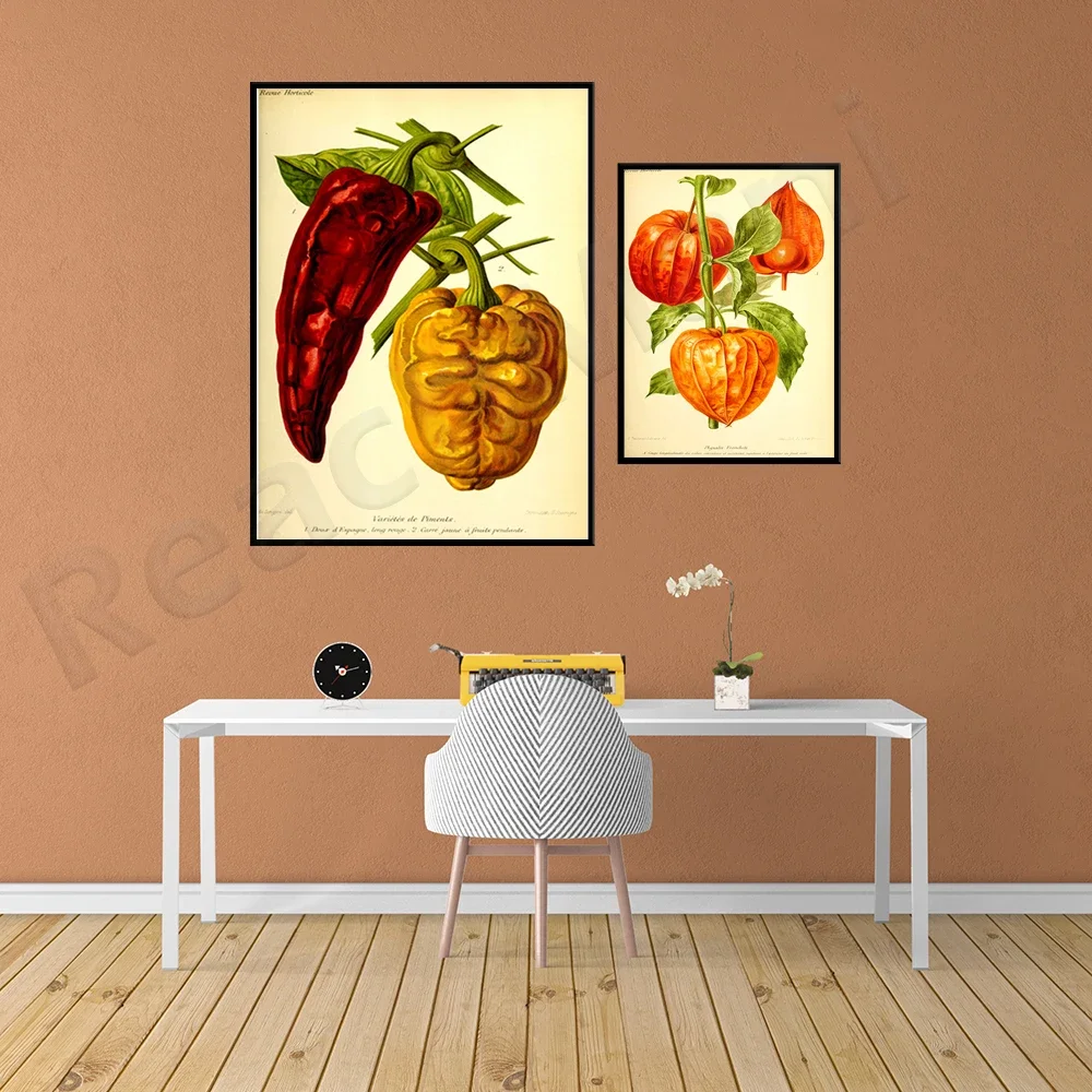 Kitchen retro prints fruits and vegetables retro poster pepper and physalis plant prints plant wall poster view 3