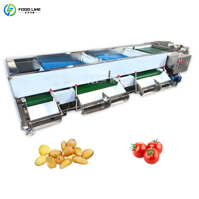 Multifunctional Full Stainless Steel  Fruit and Vegetable Blueberry Date Size Sorting Machine Support Customized High Efficiency