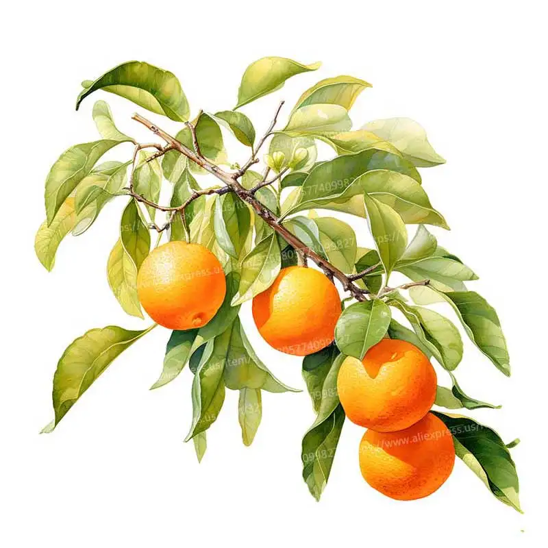 

Watercolor Orange Tree Wall Sticker Bathroom Toilet Decor Living Room Cabinet Refrigerator Home Decoration Decals Stickers M1466