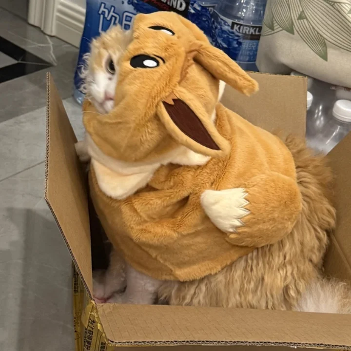 

Anime Pokemon Pikachu Eevee Ducktales Hooded Robe Dog Costume Furry Plush Toy Gift For Movie Tv Fans Pet Clothing