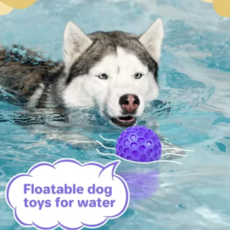 Thumbnail 3 - #73 Best Dog Balls to Buy In 2026