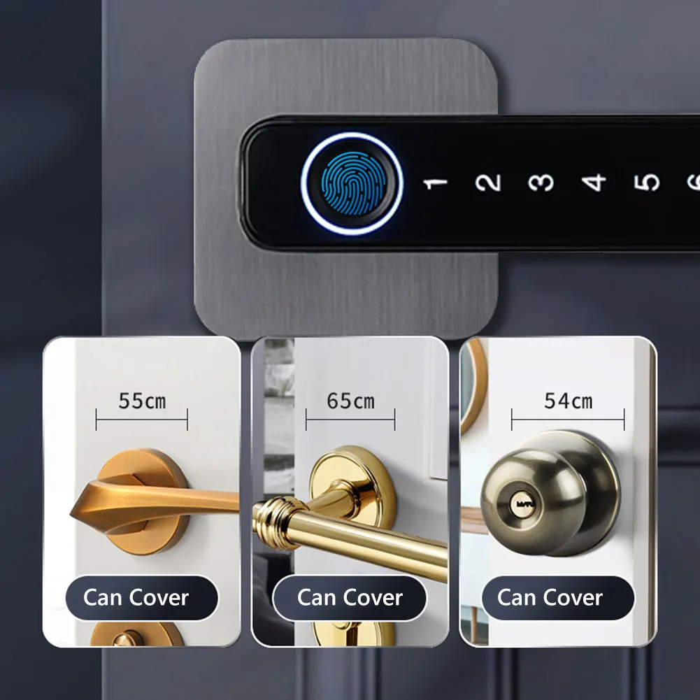 Biometric Smart Door Lock Fingerprint Password Electric Digital Handle Tuya Zinc Alloy Keyless Remotely Security Home KingKu