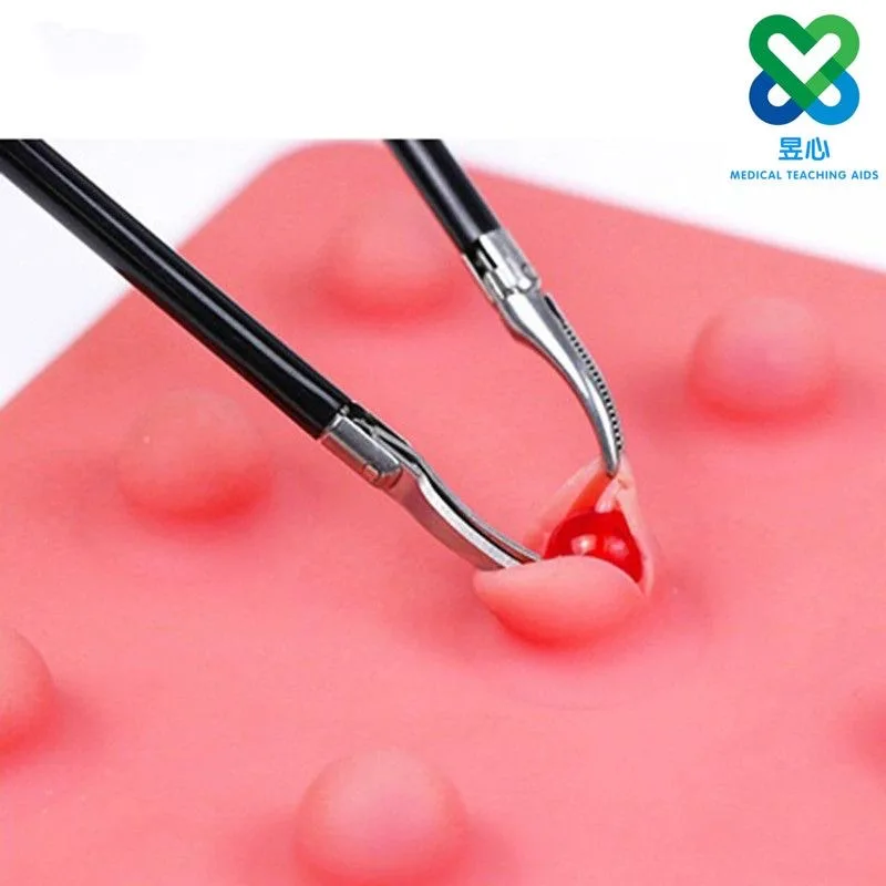 Laparoscopic Simulation Dissection and Cutting Module for Human Tissue Medical Surgery Training Medical Teaching Aid