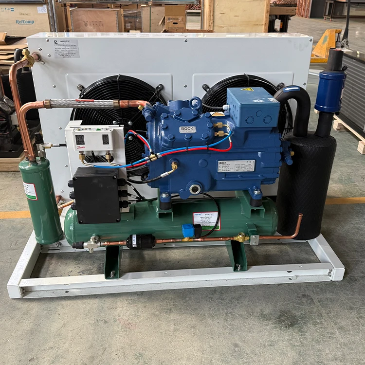 Semi-Hermetic  Compressor Condensing Unit Open Type Air Cooled for Cold Room Storage