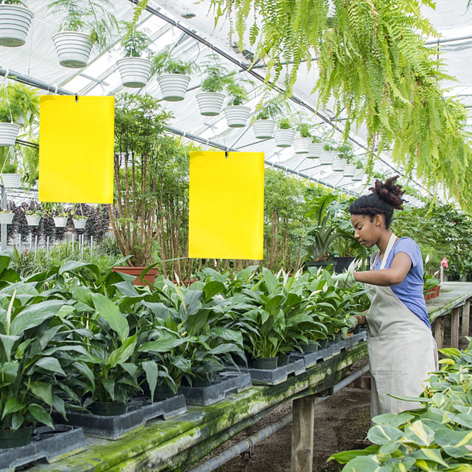 20-100 قطعة لوحة حشرات لزجة قوية Flycatcher ملصق ورقة الدفيئة مكافحة الآفات المبيدات الحشرية شريط لاصق على الوجهين
