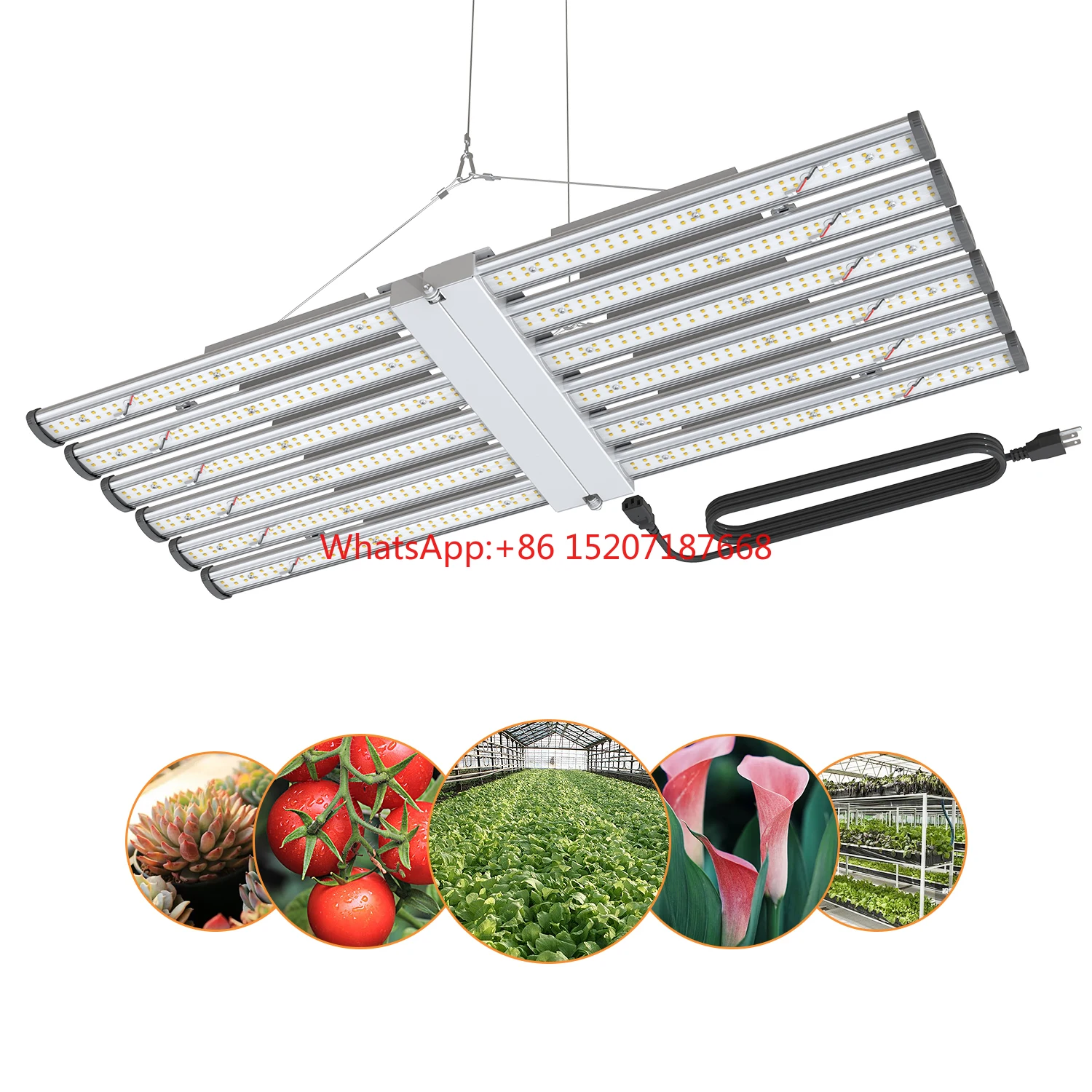 2021 ใหม่ Far Red 660nm Board Full Spec Led Grow Light สําหรับพืชในร่ม Led Growlights