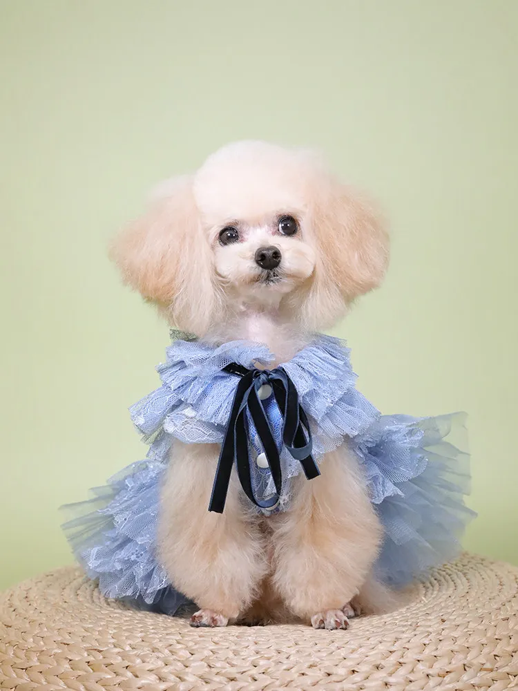 

Pet Dog Cat Clothes Champagne Gold Shoulder Dress Pet Dog Dress Pet Dress Cat Dog Wedding Dress Pet All Season Dress