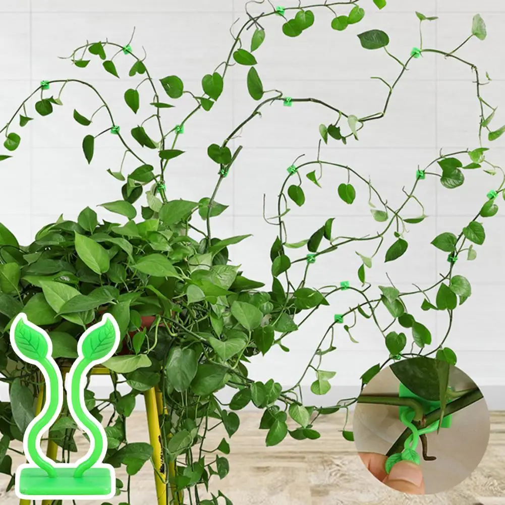 

Plant Clip for Climbing Plants Garden Plant Support System Sturdy Green Plant Clips for Climbing Vines Reliable Wall for Plant