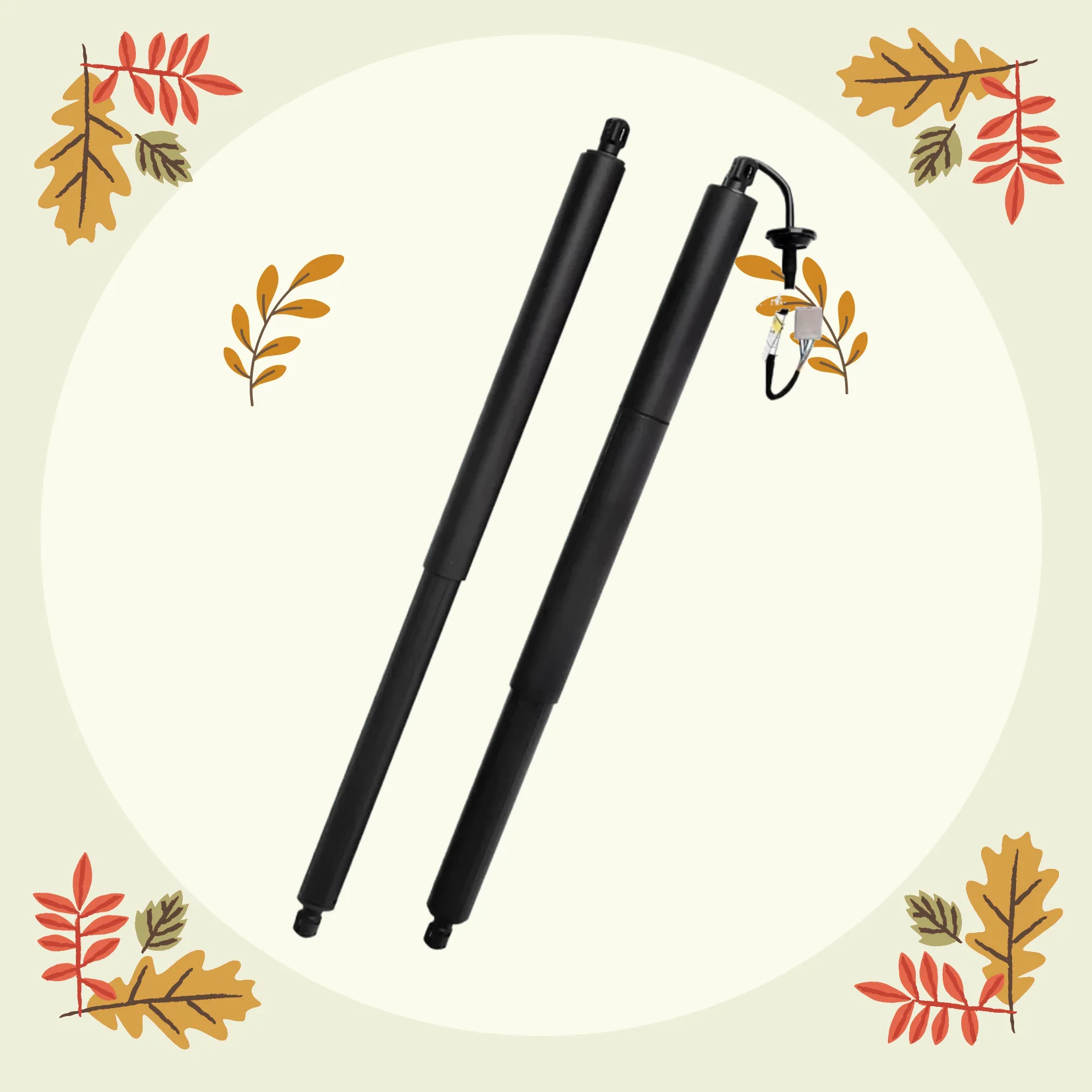 

OE FB5Z14B351A BB5Z14B351A BB5Z78406A10B BB5378402A55BB High quality Electric tailgate support rod for Ford Explorer