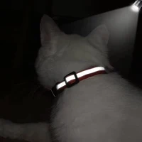 Customized Pet Collar Reflective Cat Collars Free Engraved Puppy Kitten Pet ID Nameplate Necklace With Bell Anti-lost For Cats 5
