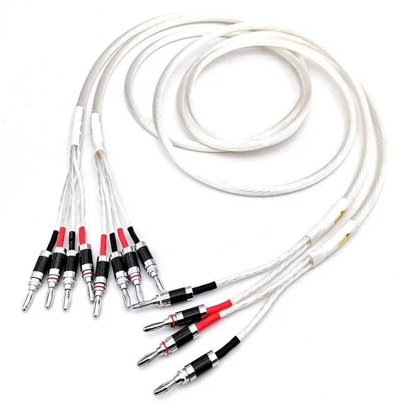 

DI-001 5NOCC Pure Silver 2 Out of 4 Speaker Cable Hi-end Tube Amplifier Double Partial Tone Speaker Cable Pair