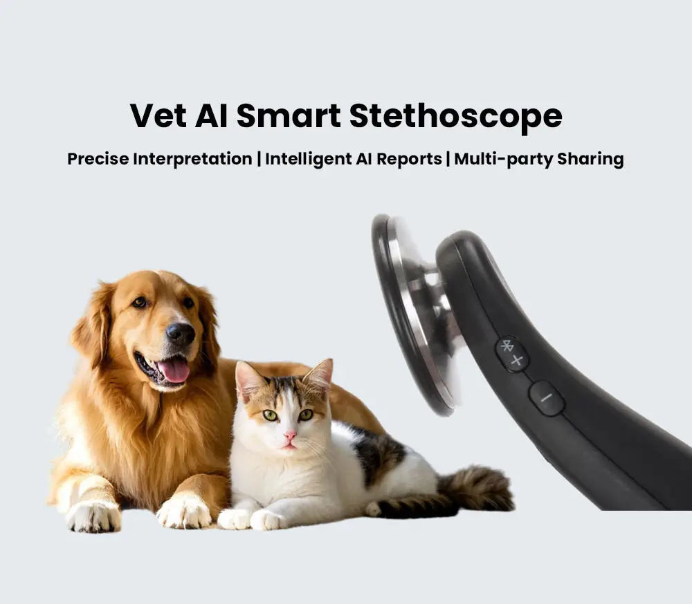 

Bluetooth AI Smart Stethoscope Vet Clinic CE Certified Class II 1 Year Warranty Online Technical Support Generate Diagnostic