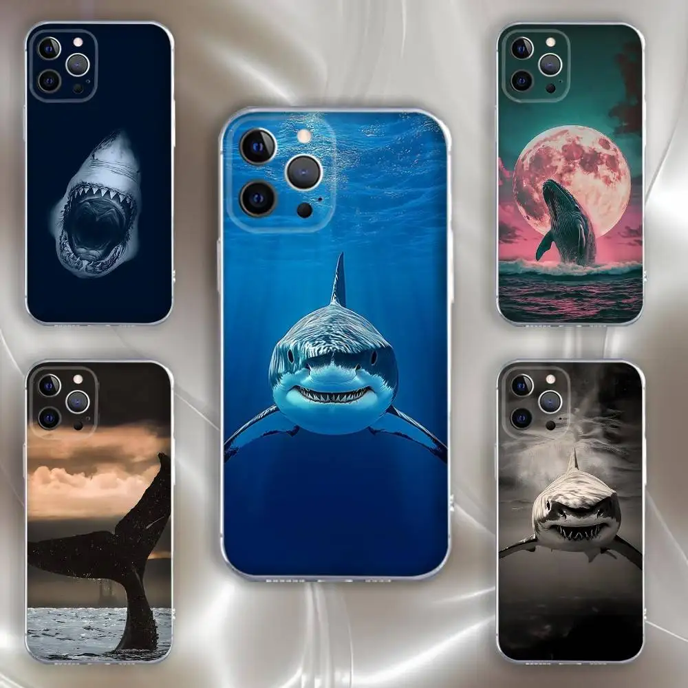 

Shark Giant Creature Phone Case For iPhone 16,15,14,13,12,11 Pro,Max,Plus,X,XS,XR,SE,Mini Transparent Silicone Soft