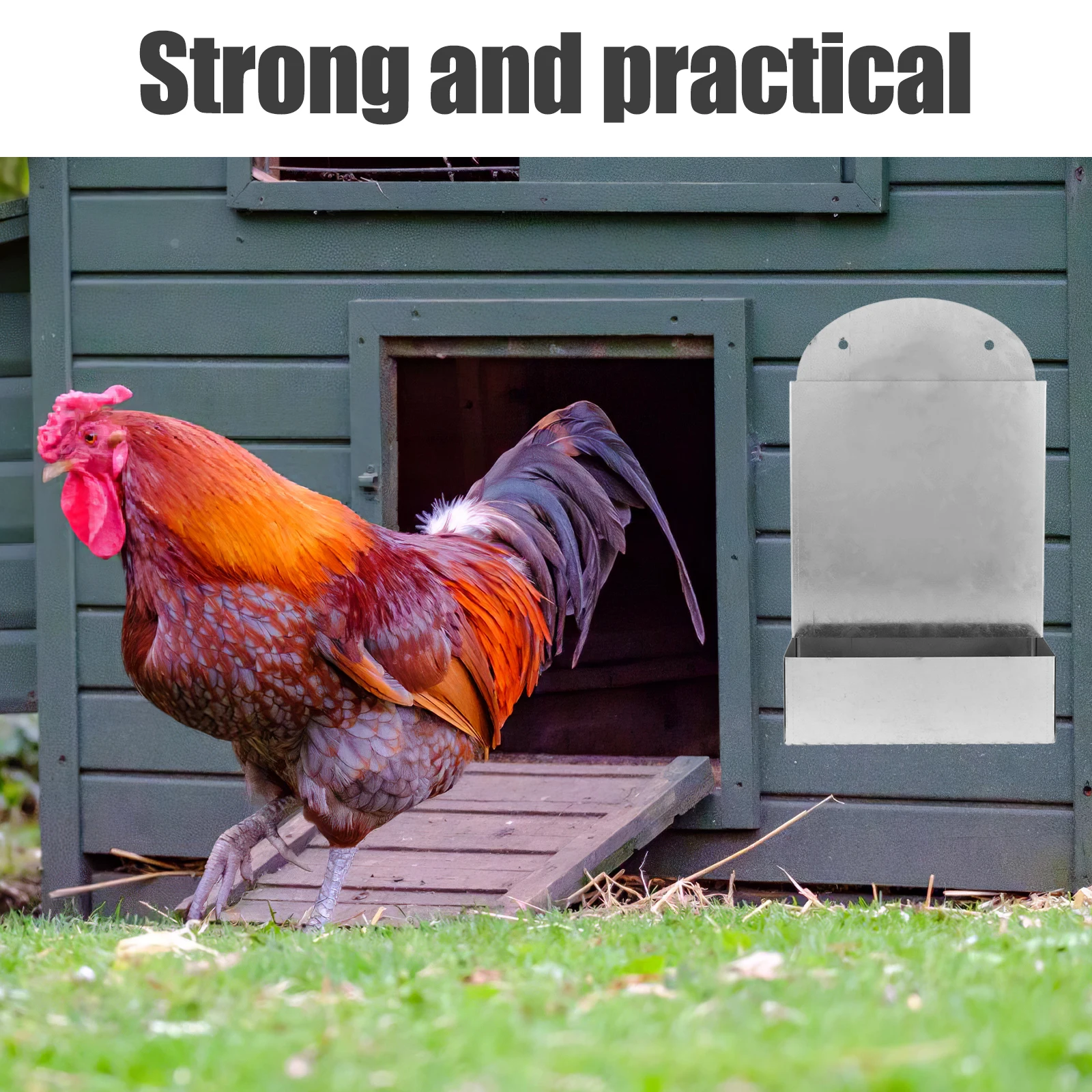 

Chicken Automatic Feeder Poultry Wall-mounted for Chickens Dispenser Silver Backyard