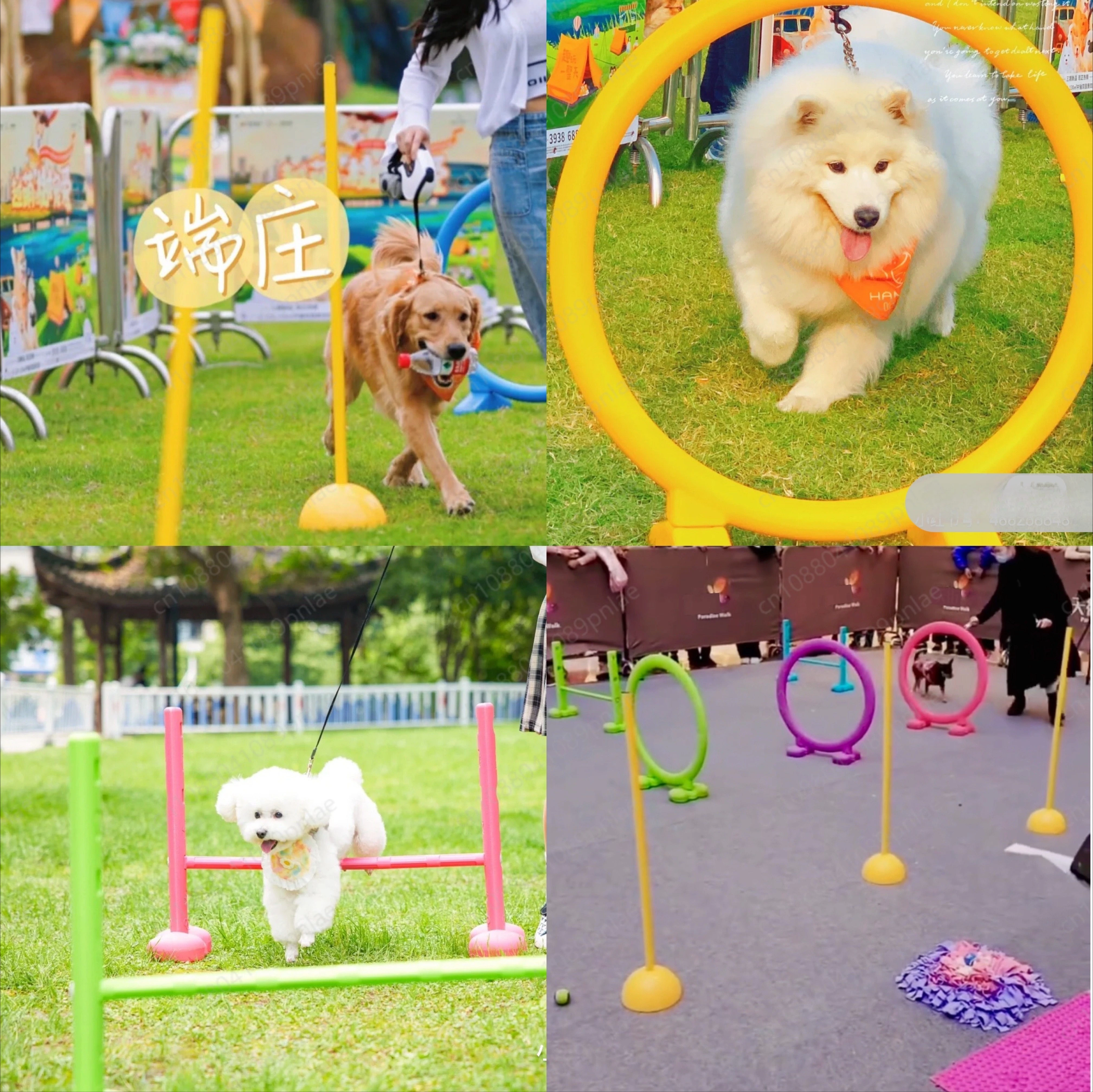 A Full Set of 21 Pieces + 1 Tunnel, Candy-colored Pet Training Set, Dog Sports Pole Jumping, Hurdle Competition Equipment