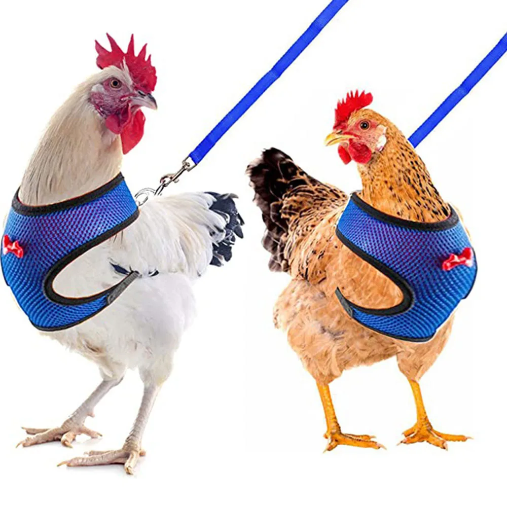 

Pet vest belt Breathable chicken duck fashion mesh pet with chest back set pet plus traction chicken duck goose training walking