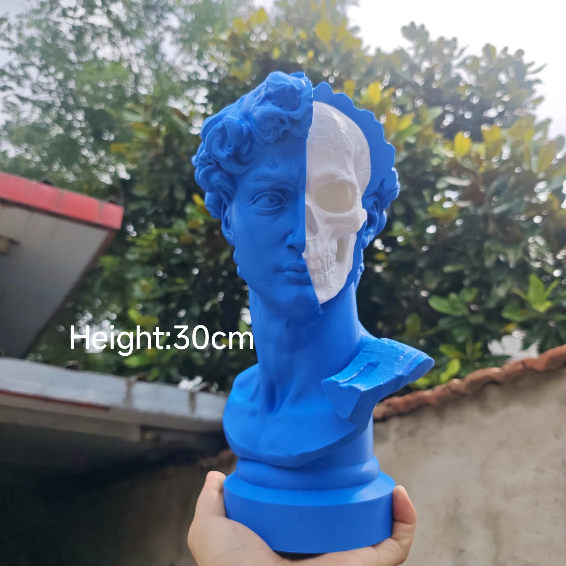 Split-Face David Skull Sculpture 3D Printed Bust Home Desk Art Decoration