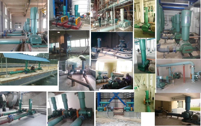 Bulk material transfer pneumatic conveying roots blower