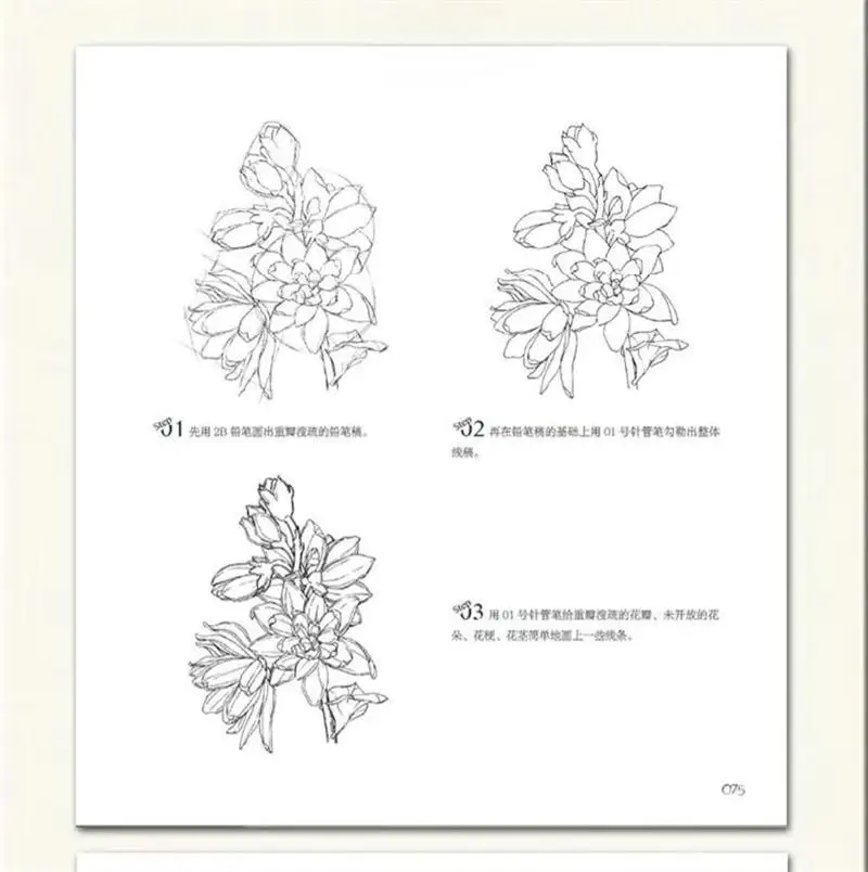 كتاب تعليمي للرسم على شكل زهور جمالية فارغة وبيضاء مرسومة يدويًا، كتاب فني للرسم بالقلم الرصاص 100 زهرة