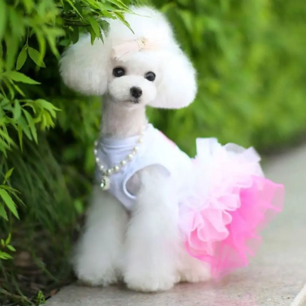 

Creative Cartoon Pet Princess Dress Soft Breathable Sweet Dog Skirt Cute Pet Skirt Spring/Summer