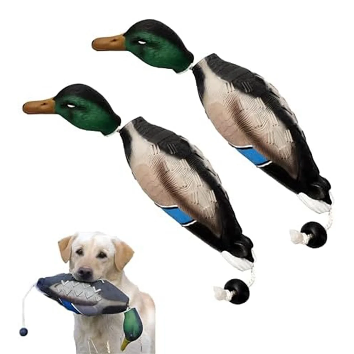 2 Pcs Pheasant Dummy Bumper Toy for Hunting Retriever Dog Training, Hunting Duck Recognition Trainers,Pheasants