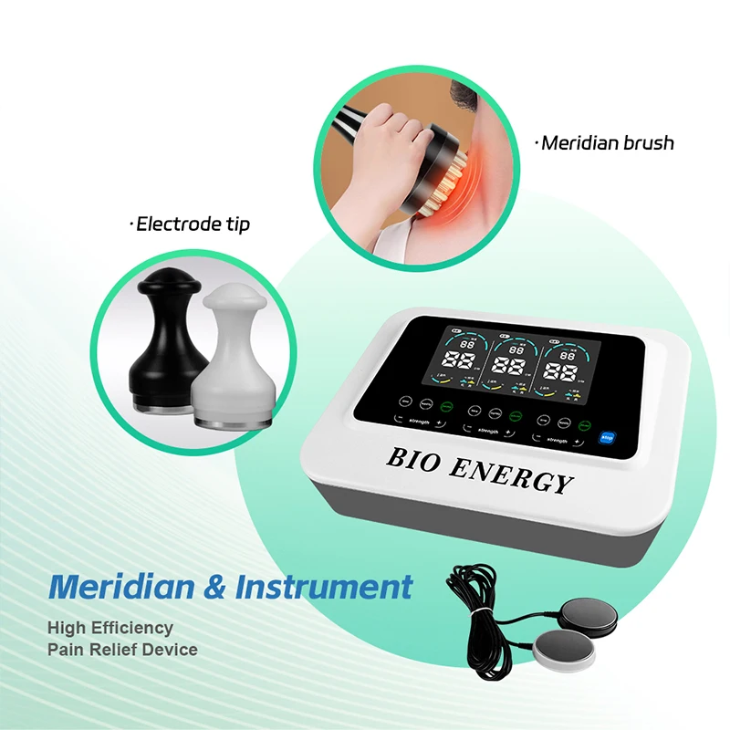 

New Electric Gua Sha Machine Bioenergy Massage Machine Meridian DDS Bio Physiotherapy Rehabilitation Equipment