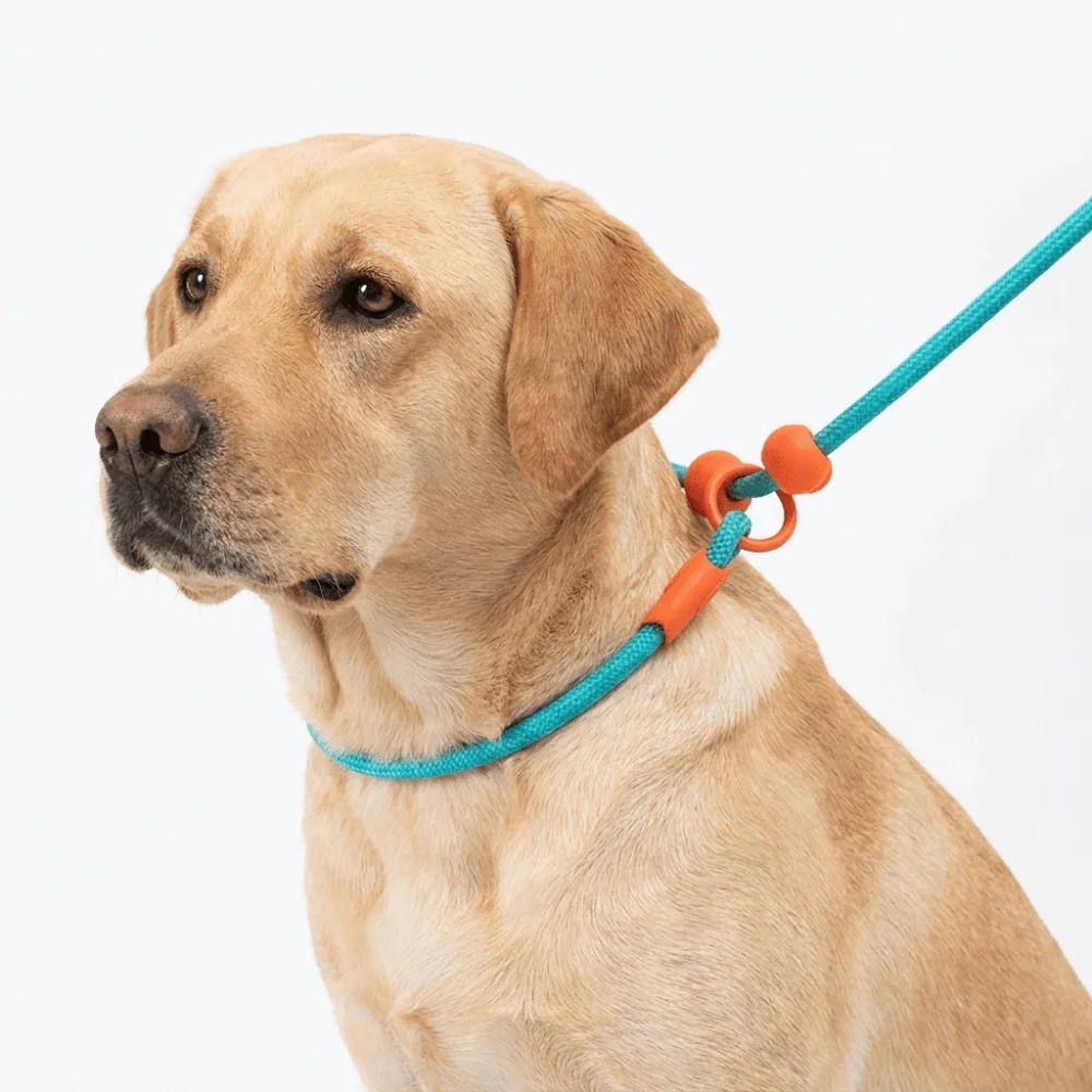 150cm Dog Leash Hands Free Adjustable Walking Leash Cloud Foam Cotton Handle Light Weight P Chain Collar Pet Training view 3