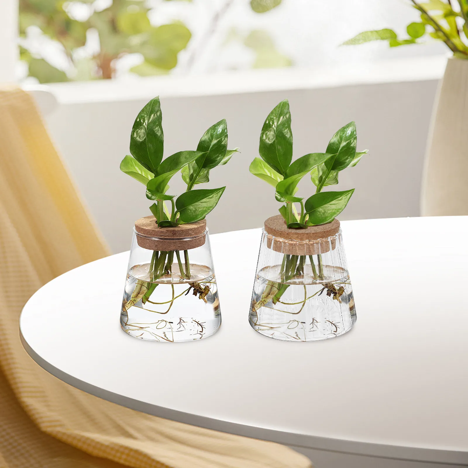 3Pcs Transparent Hydroponic Plant Vases Desktop Propagation Station Glass Terrarium Containers for Avocado Succulents Indoor