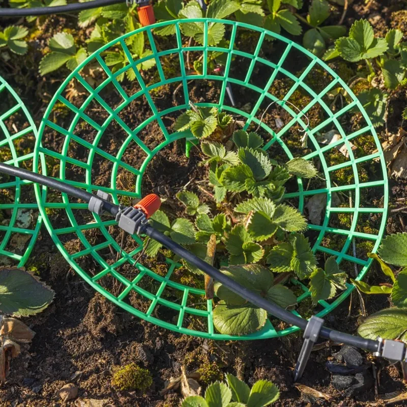 10pcs Anti rot green plant support Strawberry planting three-dimensional rack tray Strawberry plant scaffold Fruit support frame