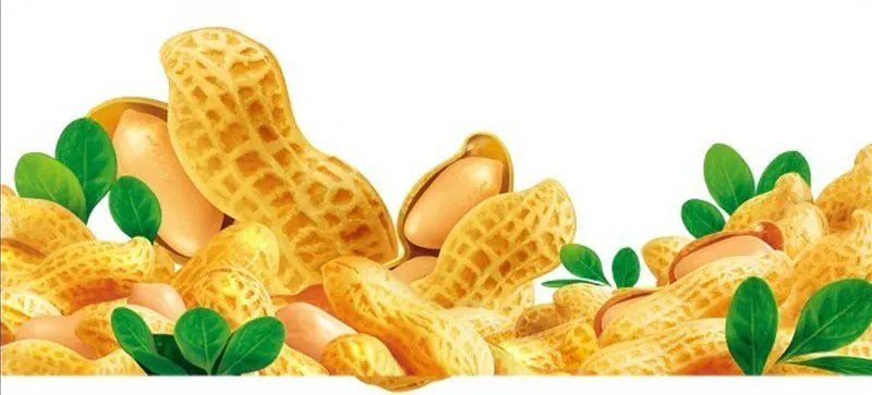 

Машина для очистки семян арахиса Автоматическая машина для очистки арахиса и шелушения