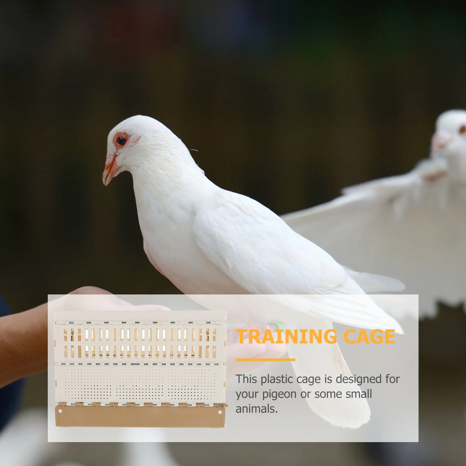 

Plastic Foldable Pigeon Cage Durable Scratch Resistant for Training Transportation with Removable Tray Locking Door