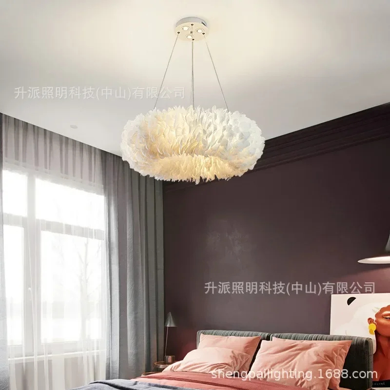 Nordic decorative bedroom, wedding hall, dual-purpose feather lamp with suction and hanging function