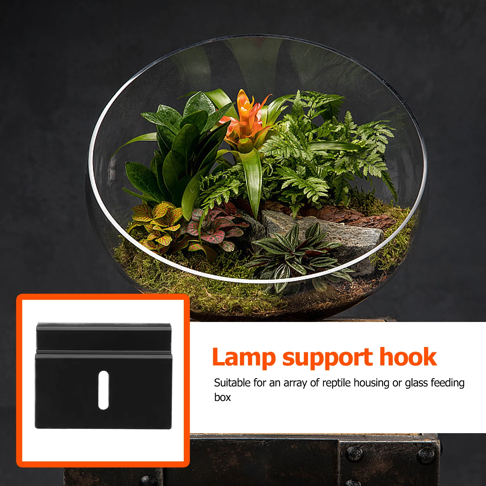 

1pc Premium Metal Reptile Tank Hook Turtle Feeding Box Strong Durable Hanger Leopard Gecko Habitat Glass Cage Decor Rainforest