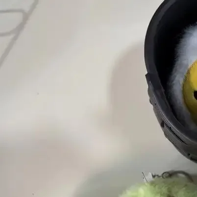 الإبداعية لطيف الحلوى القرد الحيوانات أفخم دمية محشوة اللعب المفاتيح قلادة حقيبة Charms ظهره حلي معلقة الهدايا كيرينغ