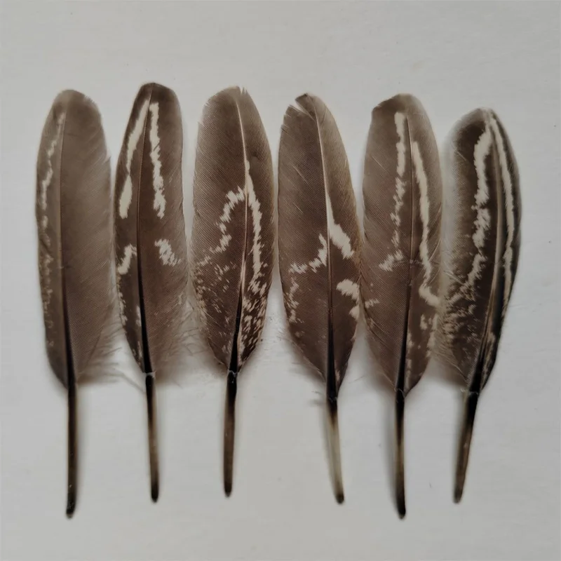 100 Piezas de Plumas Naturales de Faisán Hembra de 5-9 cm, Plumas Pequeñas para Manualidades, Decoración de Escenarios, Accesorios de Cine y Televisión, Adornos para la Cabeza