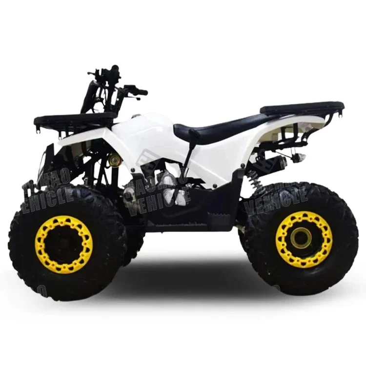 Quad Atv 110cc 125cc Atv 4-stroke Single Cylinder Chain Drive ATV,2WD Automatic Chain Drive