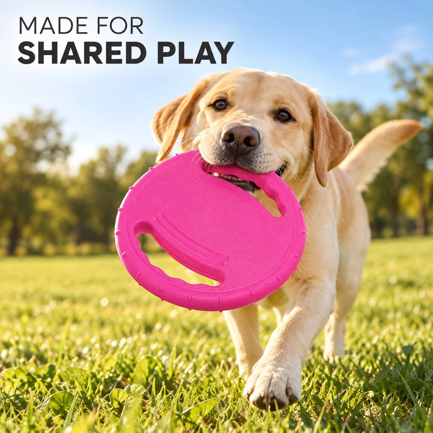 두 개의 손잡이가 달린 인터랙티브 강아지용 던지기 디스 - Flying Disc Dog Training Toy 리뷰 및 가격