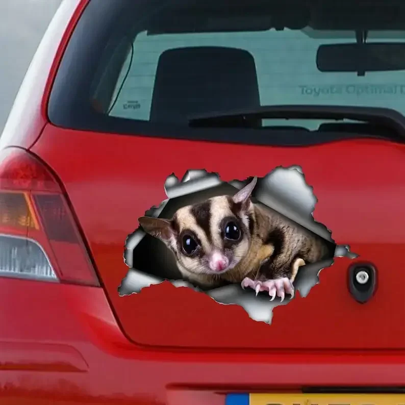 Sugar Glider car decal, Sugar Glider magnet, Sugar Glider sticker, pet decal