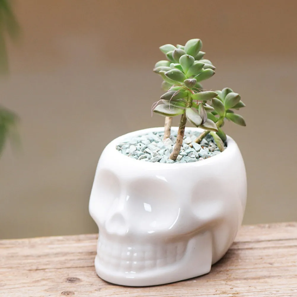 1Pcs Premium Ceramic Skull Planter for Succulents Cacti Small Flowers Minimalist Halloween Decor Home Office Desk Table Shelf