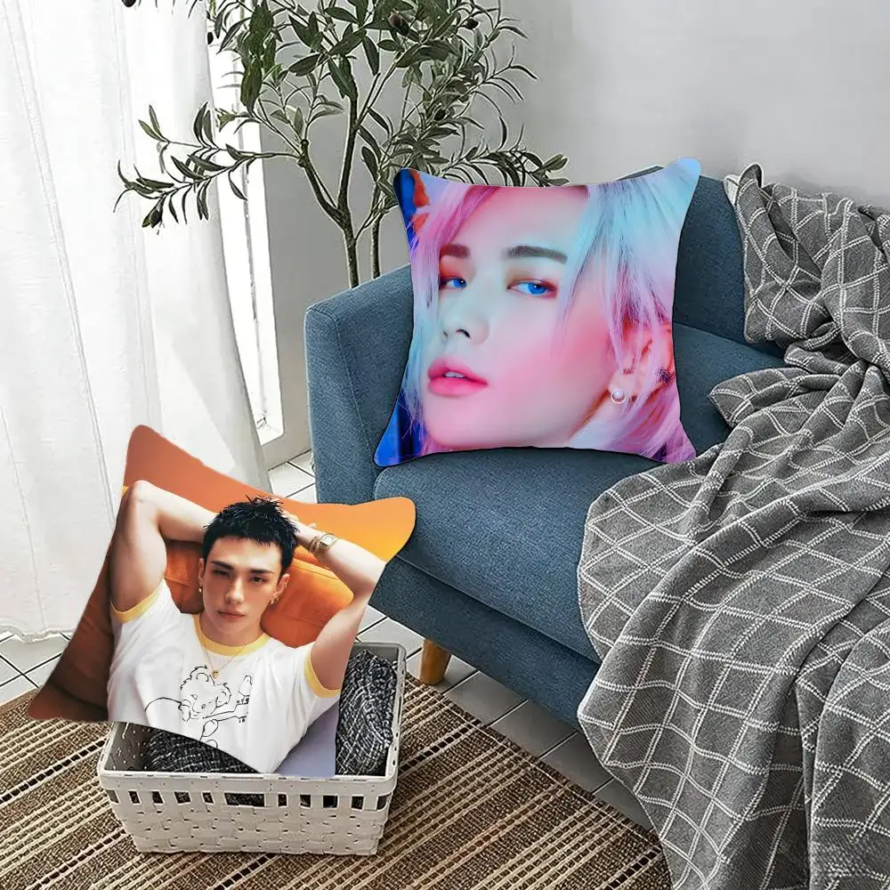 Stylish Kpopidol H-Hwang HyunJin Cushion Cover Fluffy velvet Nordic style plush Living room sofa decorative