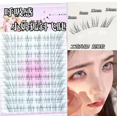 10-reihige Einzelwimpern-Cluster, segmentierte natürliche Wimpernverlängerung, Fuchsstil, fliegende falsche Wimpern, Make-up-Werkzeug