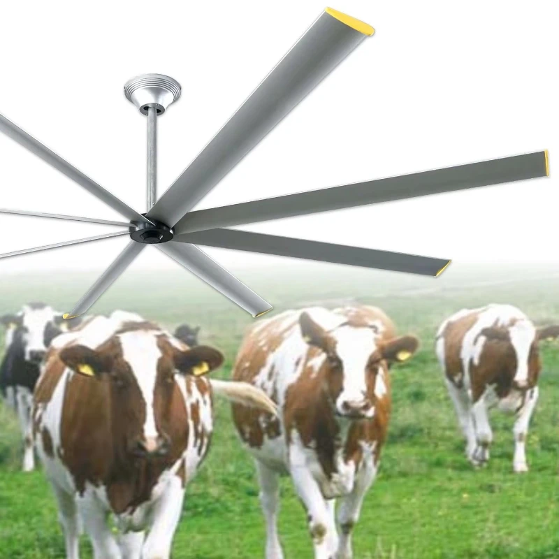 

10 feet gearless direct drive 5 speed remote control solar