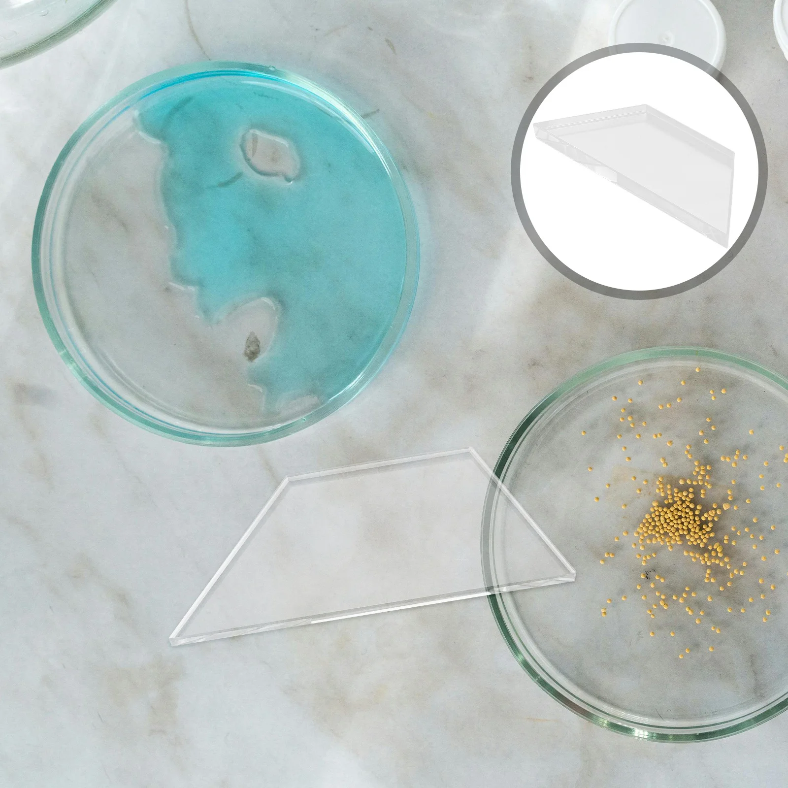 

Trapezoid Experiment Optical Lens Glass Clear Transparent Physics Lab Accessory School Science Replacement Gear