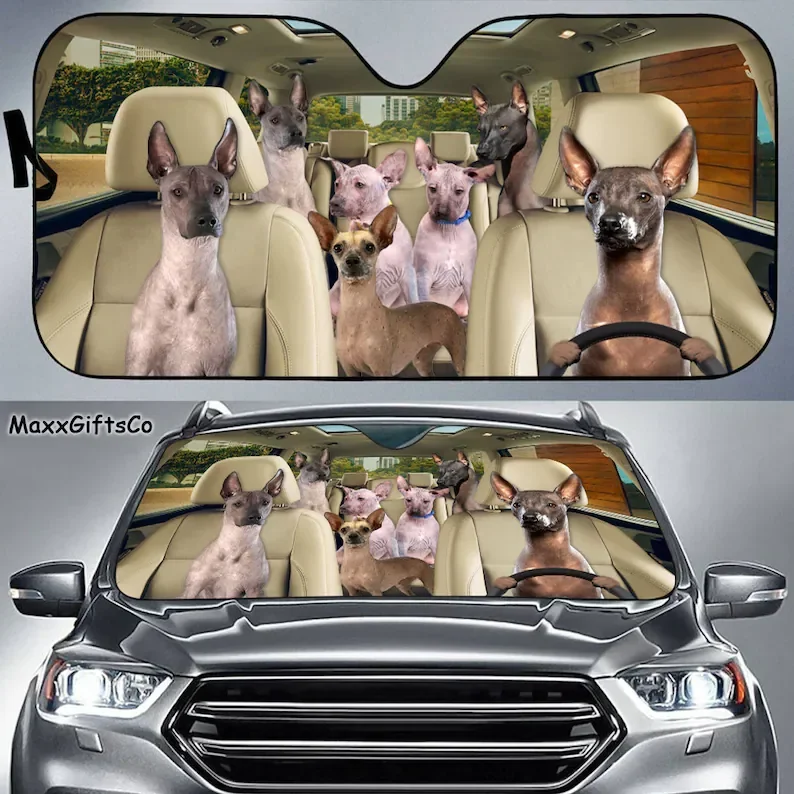 Xoloitzcuintli Car Sun Shade, Xoloitzcuintli Windshield, Dogs Family Sunshade, Dogs Car Accessories, Car Decoration, Dogs Lovers