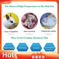 L68A Rabbits Cooling Pad Bite Resistance Pet Cooling Pad Ice Bed Pet Cool Ice Bed Plate Self Cooling Mat Pad For Hamster Guinea